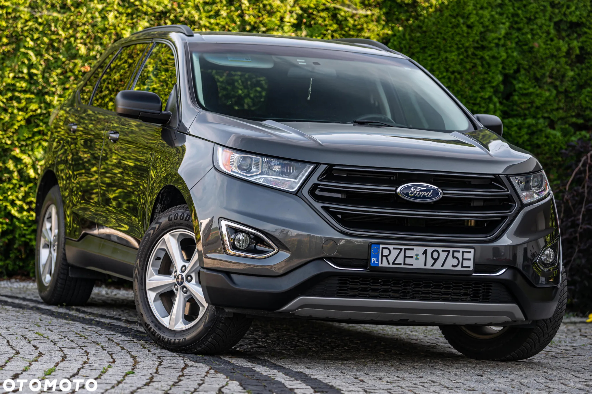 Ford Edge - 2