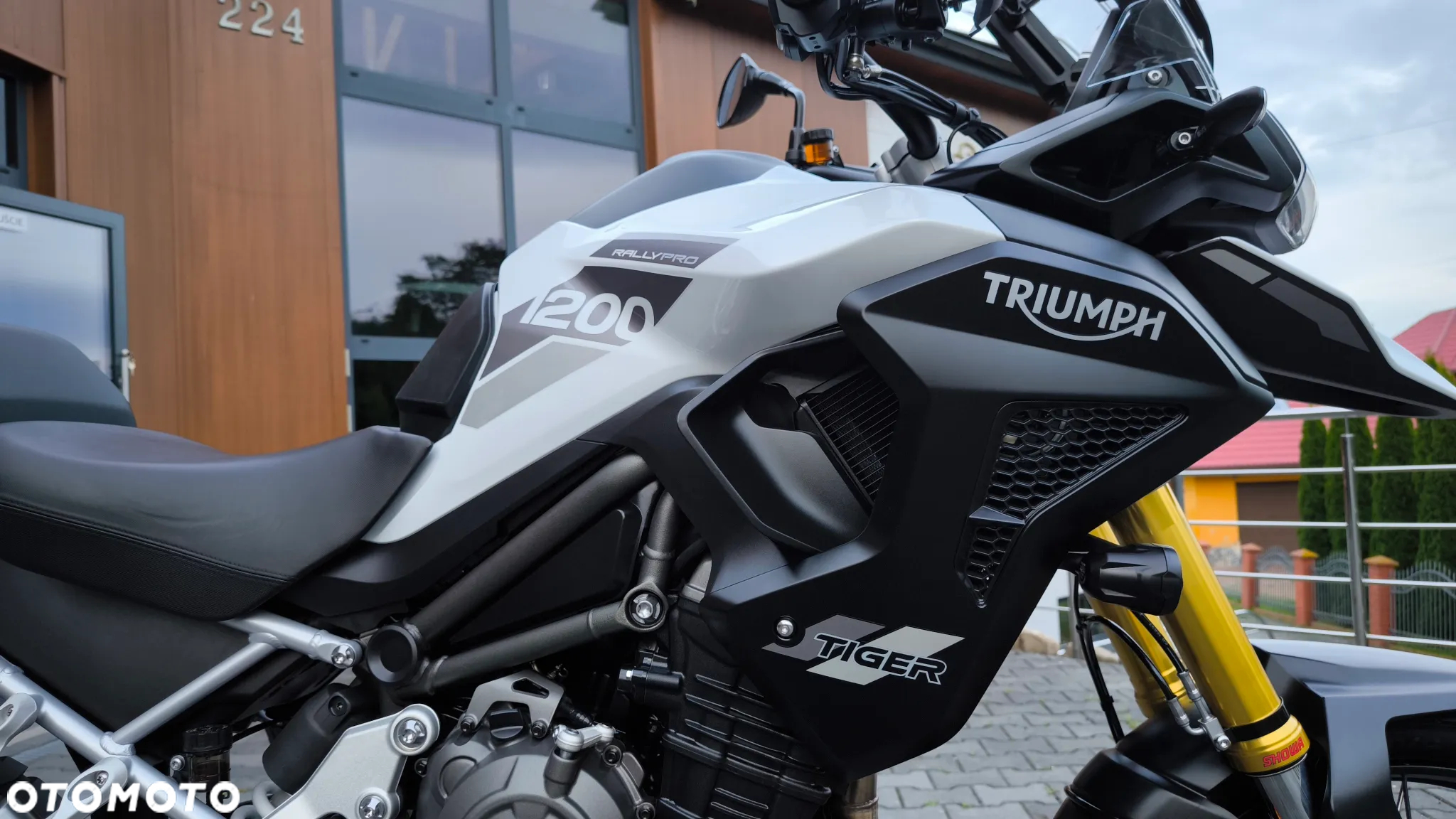 Triumph Tiger - 27
