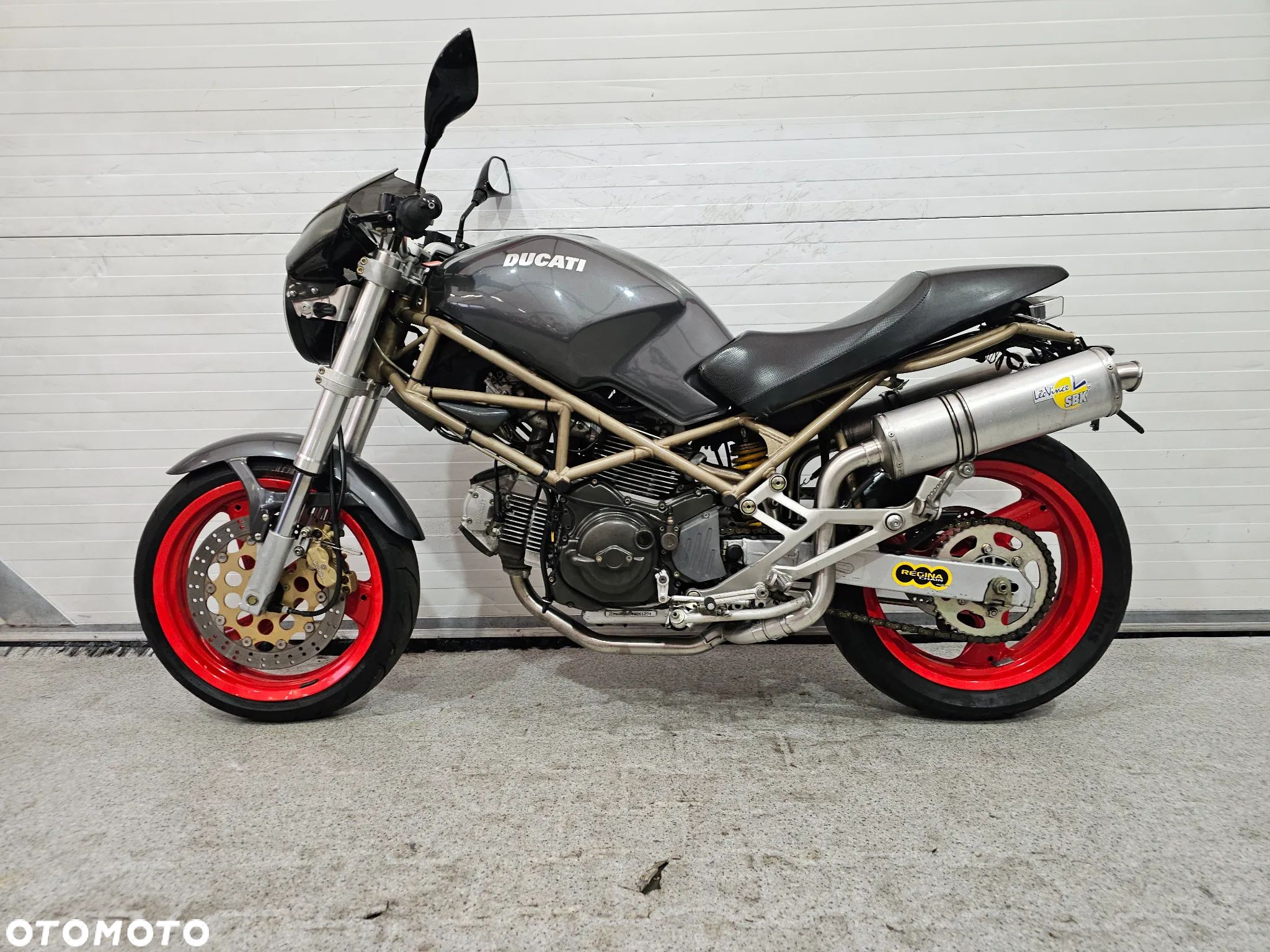 Ducati Monster - 1