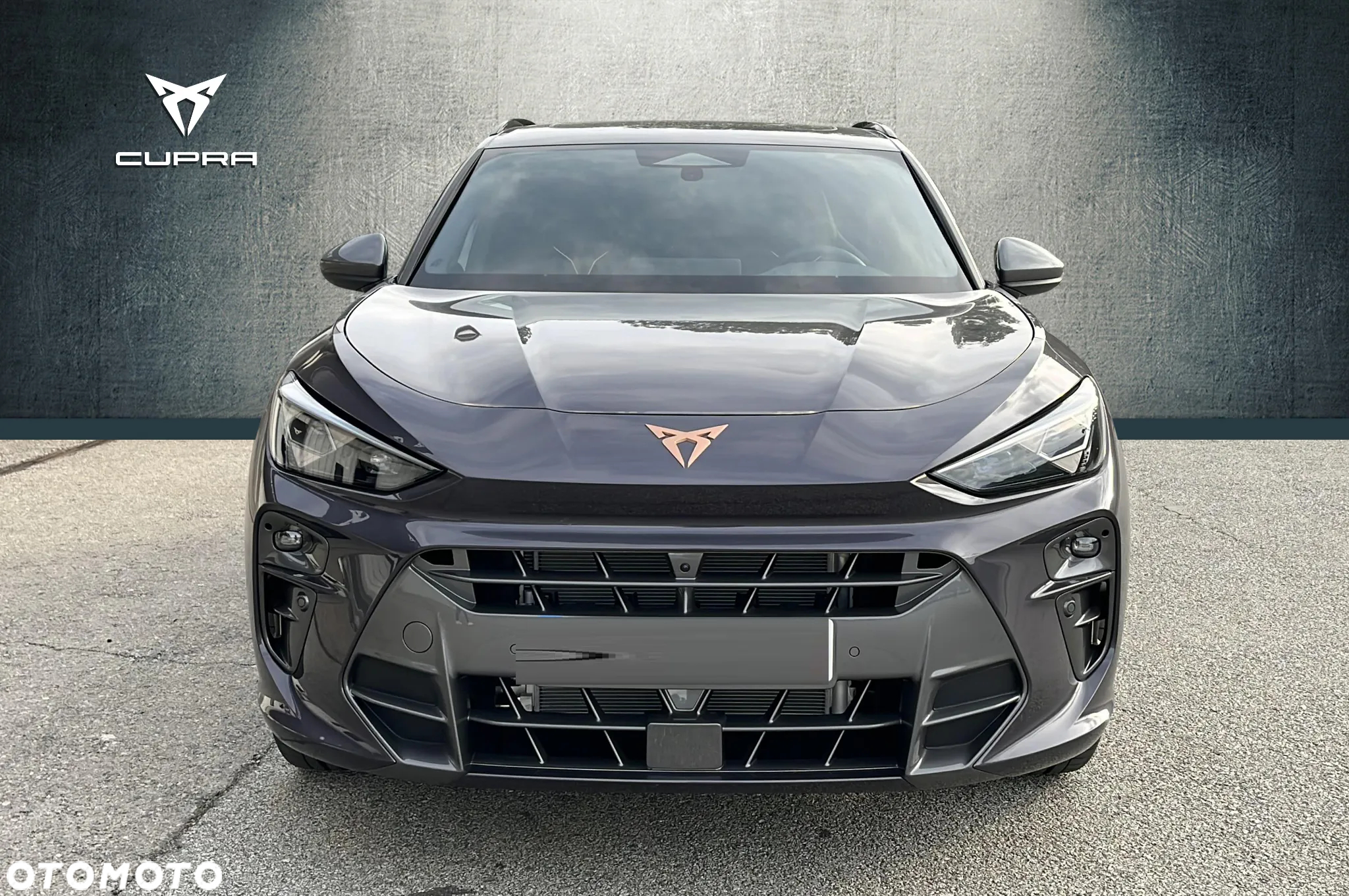 Cupra Terramar - 6