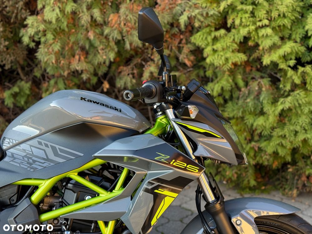 Kawasaki Z - 12