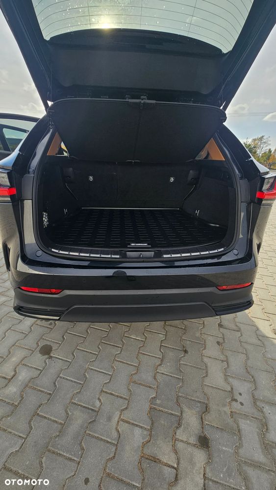 Lexus NX - 12