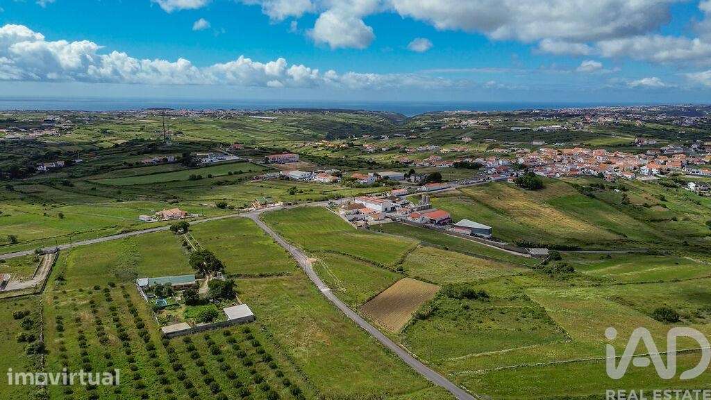 Terreno em São João das Lampas e Terrugem - Grande imagem: 5/20
