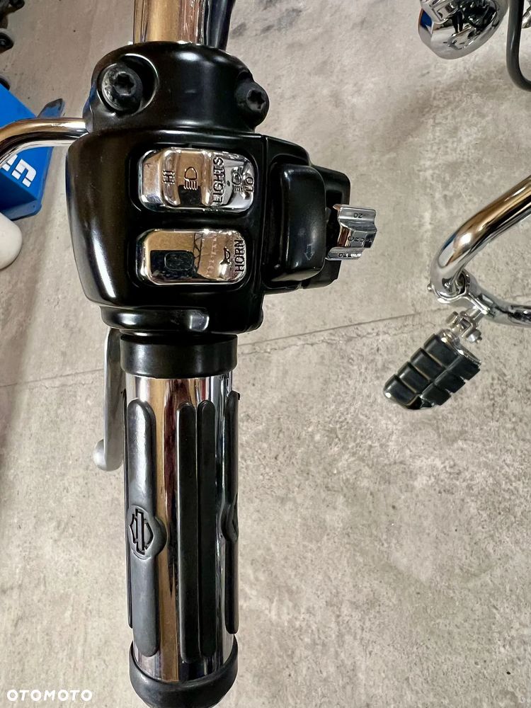 Harley-Davidson Inny - 15