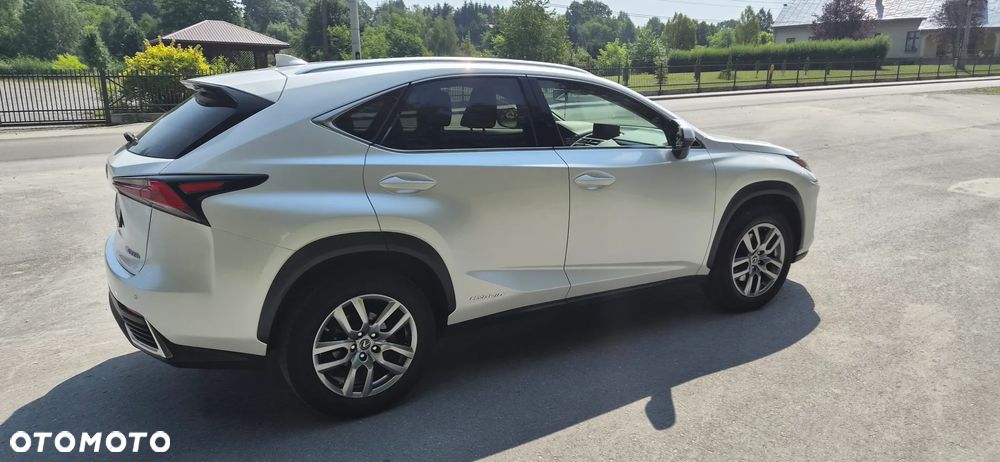 Lexus NX 300h Business Edition AWD - 2