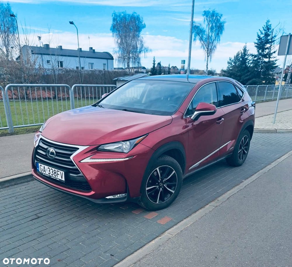 Lexus NX 300h Comfort AWD - 2