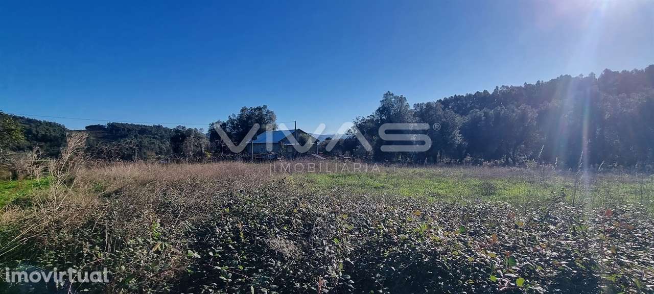 Terreno agrícola em Dossãos, Vila Verde - Grande imagem: 5/6