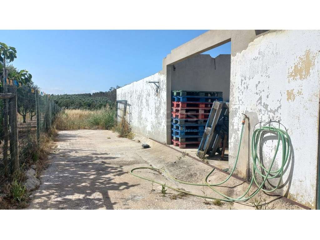 Moradia Térrea com Grande Área Urbana e Projeto Aprovado para Lar d... - Grande imagem: 5/26