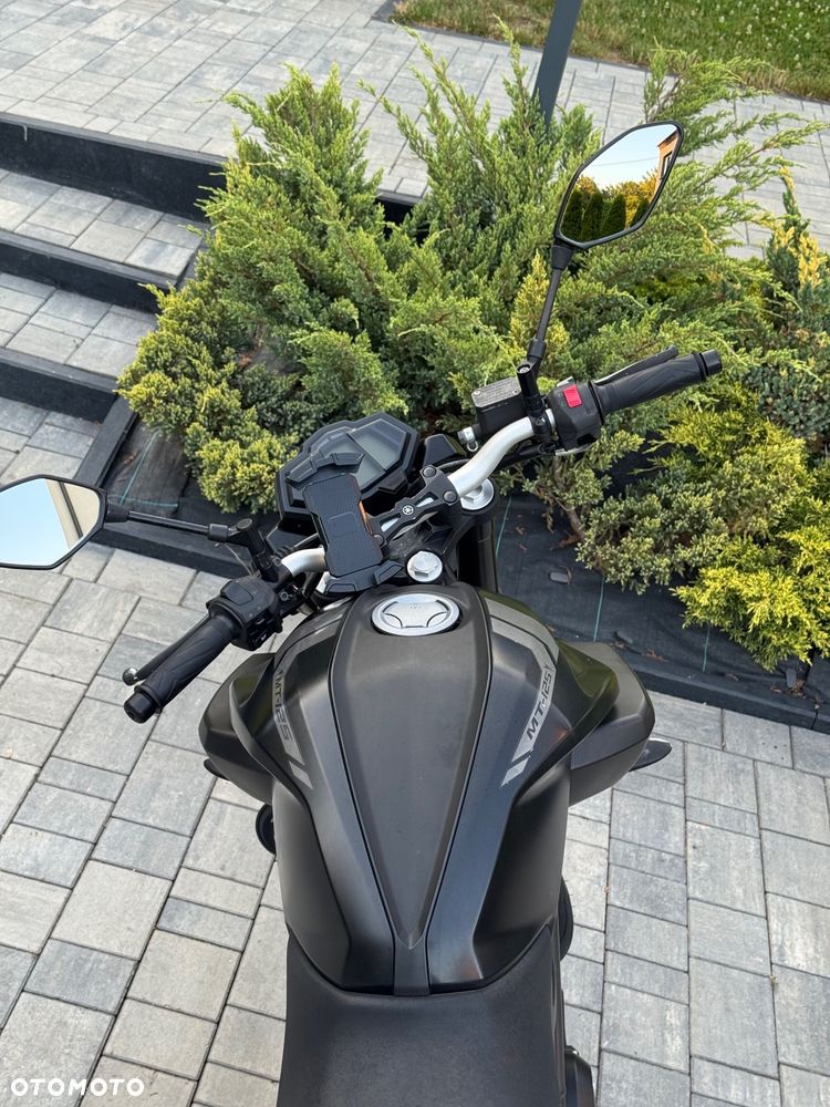 Yamaha MT - 6