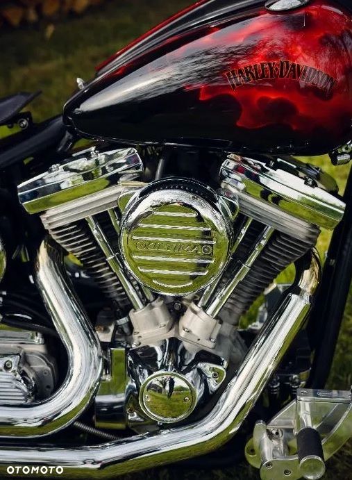 Harley-Davidson Softail Custom - 4