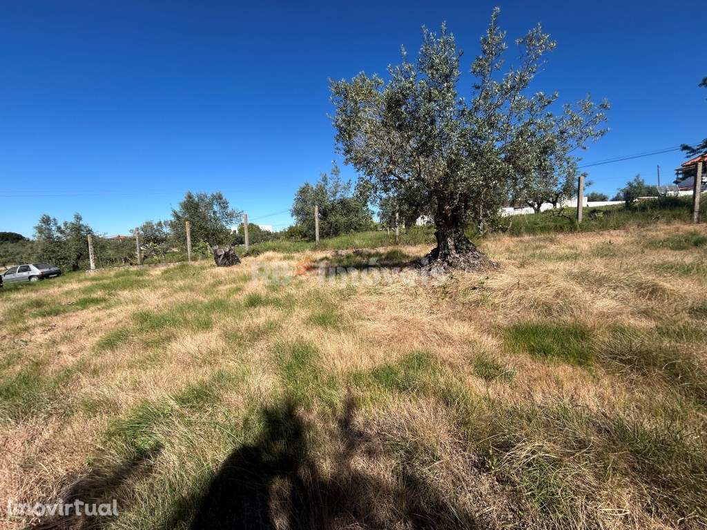 Terreno urbanizável - Carvalheiros, Tomar - Grande imagem: 4/20