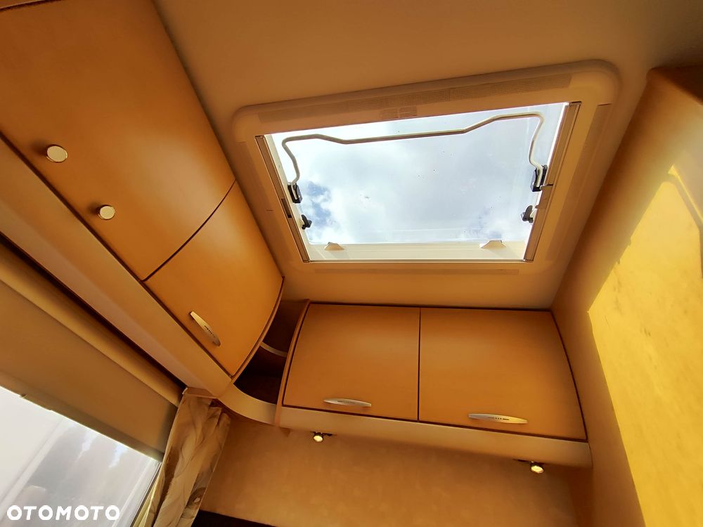 SWIFT Abbey Freestyle - 32