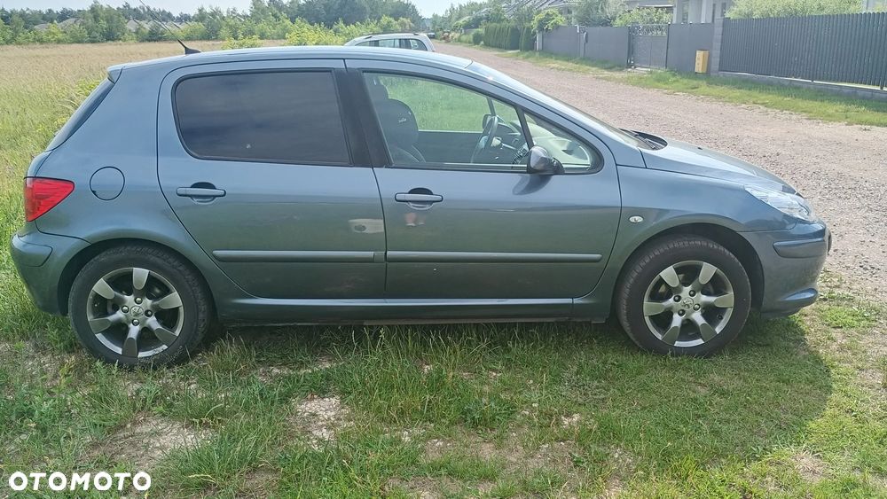 Peugeot 307 1.6 Sporty (kla) - 4