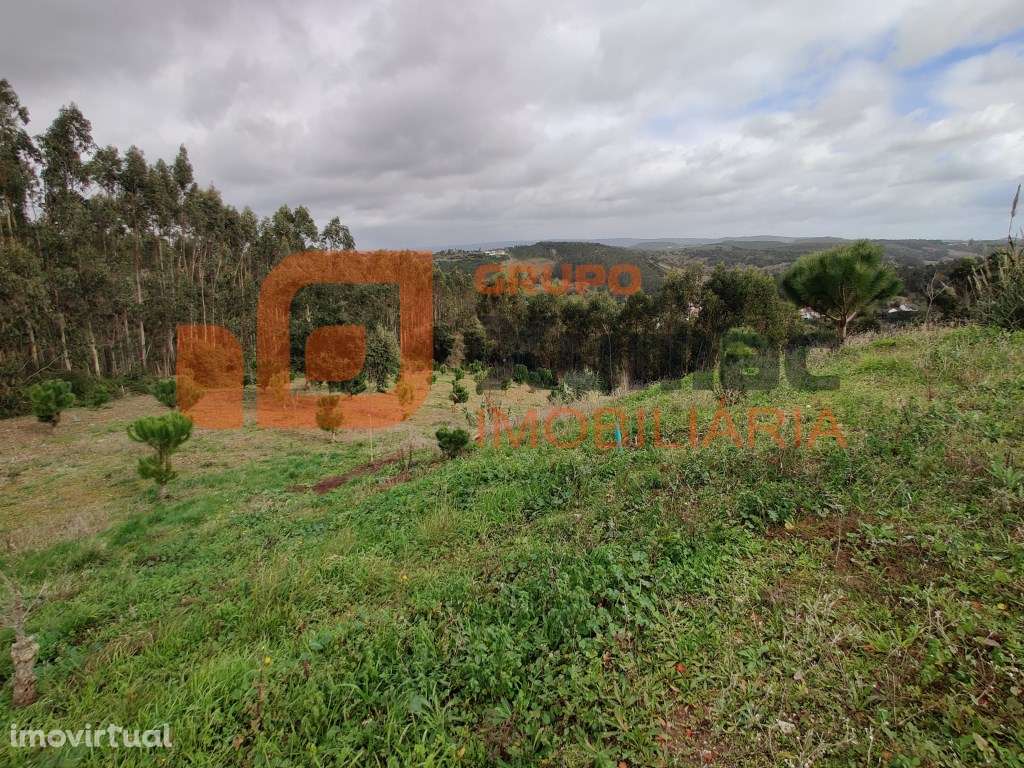 Terreno em vidais com viabilidade de construção - Grande imagem: 5/6