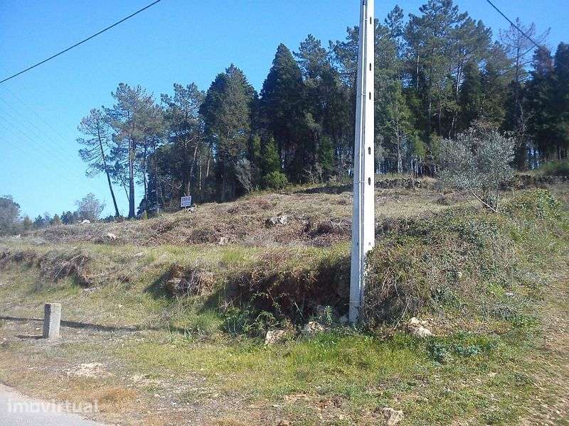 Terreno para construção em Coimbra, Palheira-Assafarge - Grande imagem: 2/6