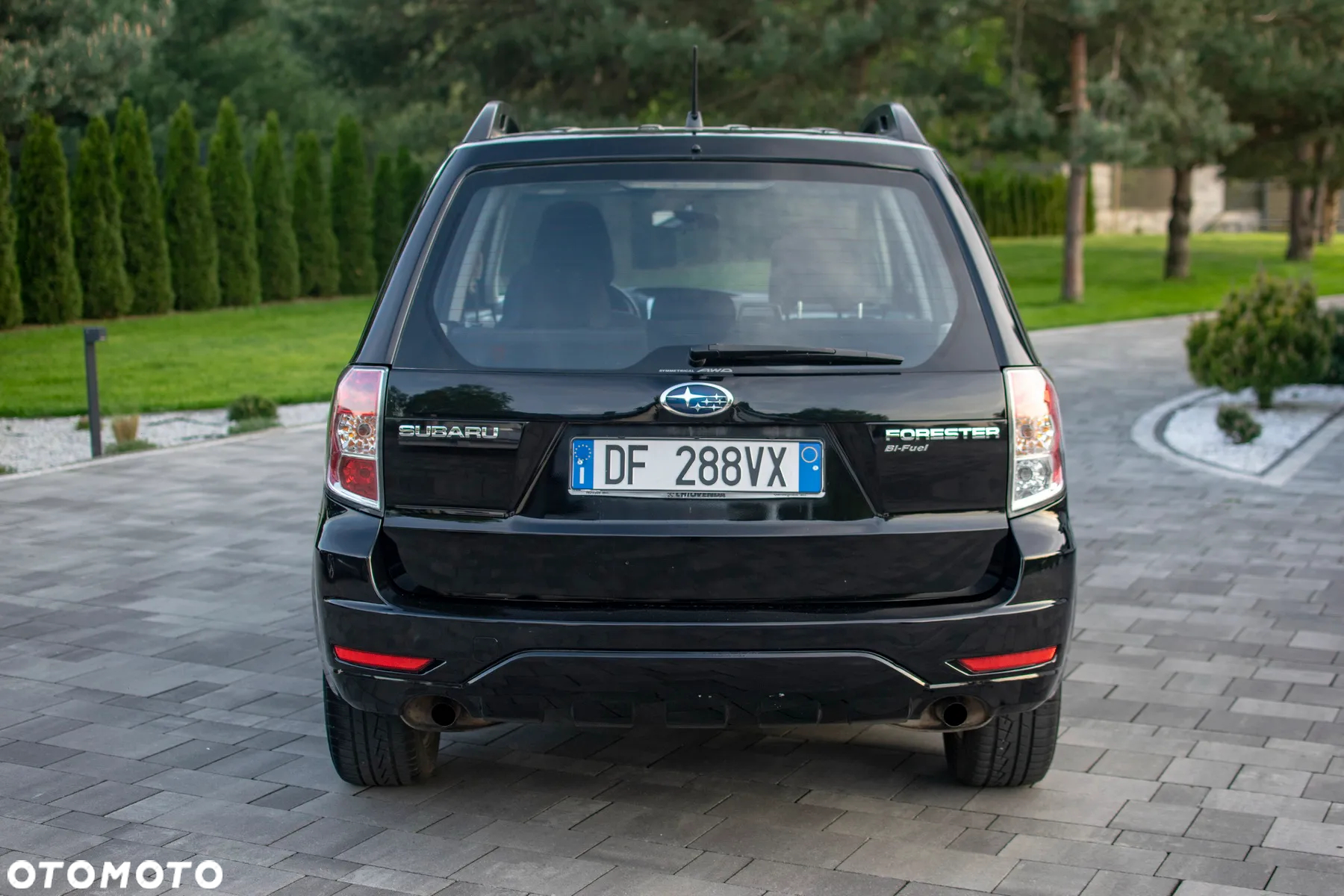 Subaru Forester - 19