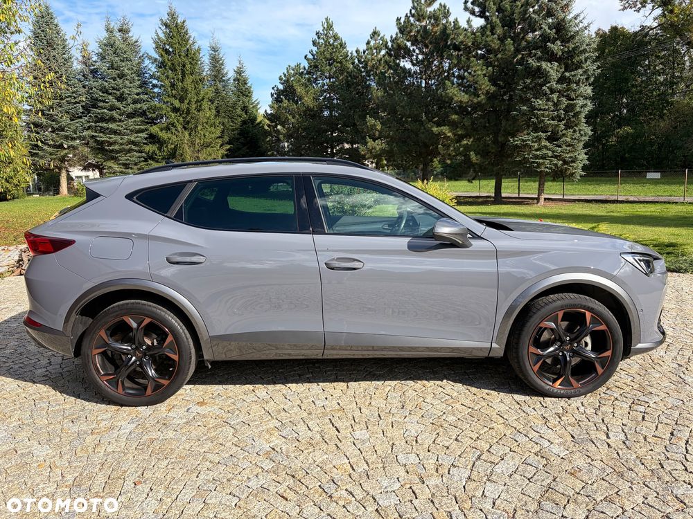 Cupra Formentor 2.0 TSI 4Drive DSG - 18