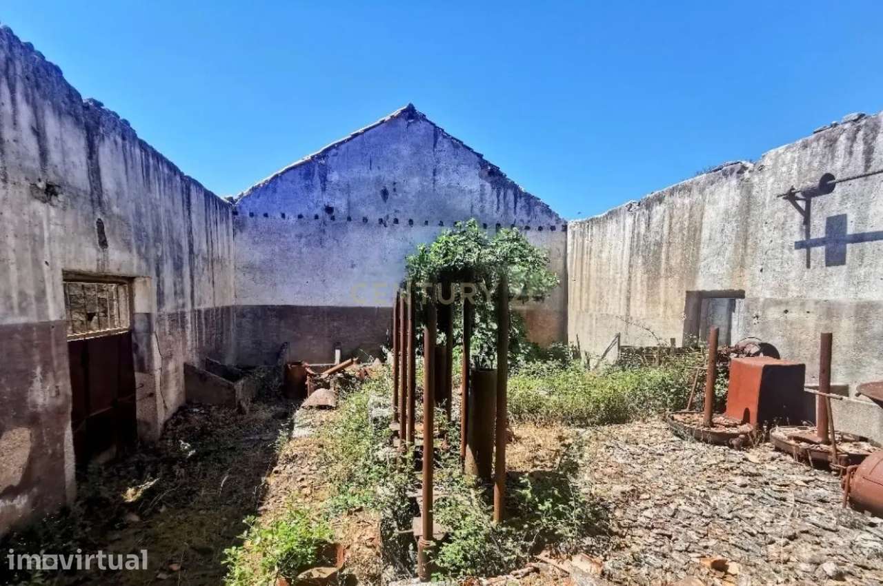 Oportunidade! Quintinha, Soalheira - Grande imagem: 3/8