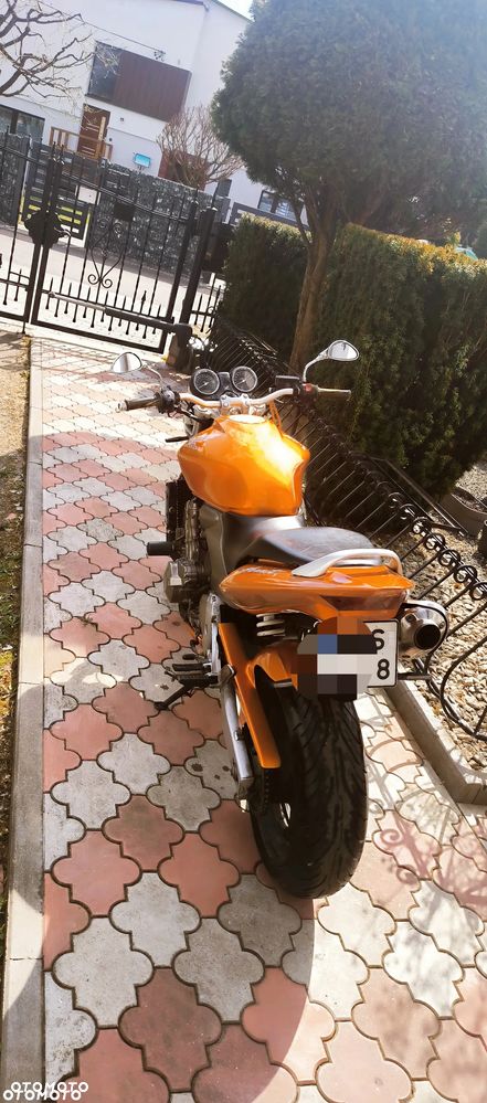 Honda Hornet - 3