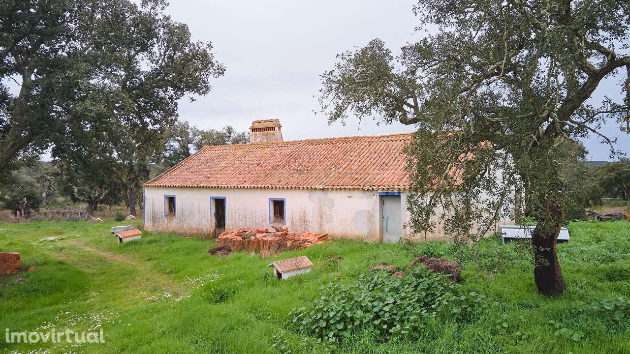 Moradia, 128 m², São Domingos e Vale de Água - Grande imagem: 2/58