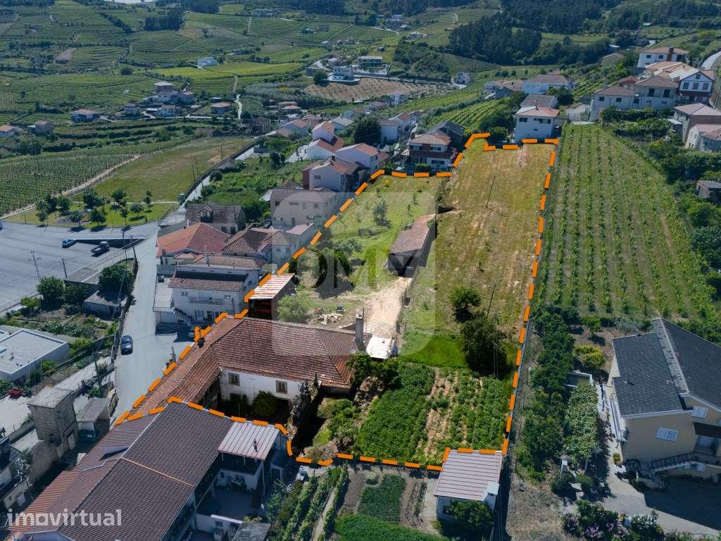 Quintinha Alto Douro Vinhateiro com Moradia Brasonada - Grande imagem: 2/28