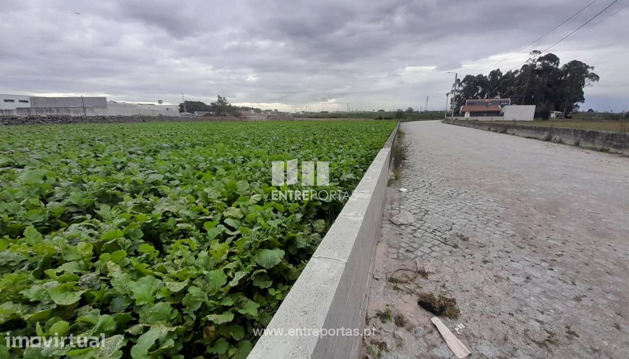 Venda de Terreno para construção com 1438m2, em Amorim, Póvoa de Va - Grande imagem: 5/7