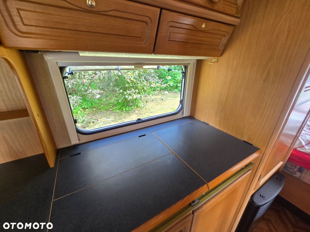 Wilk 491 DE LUXE - 24