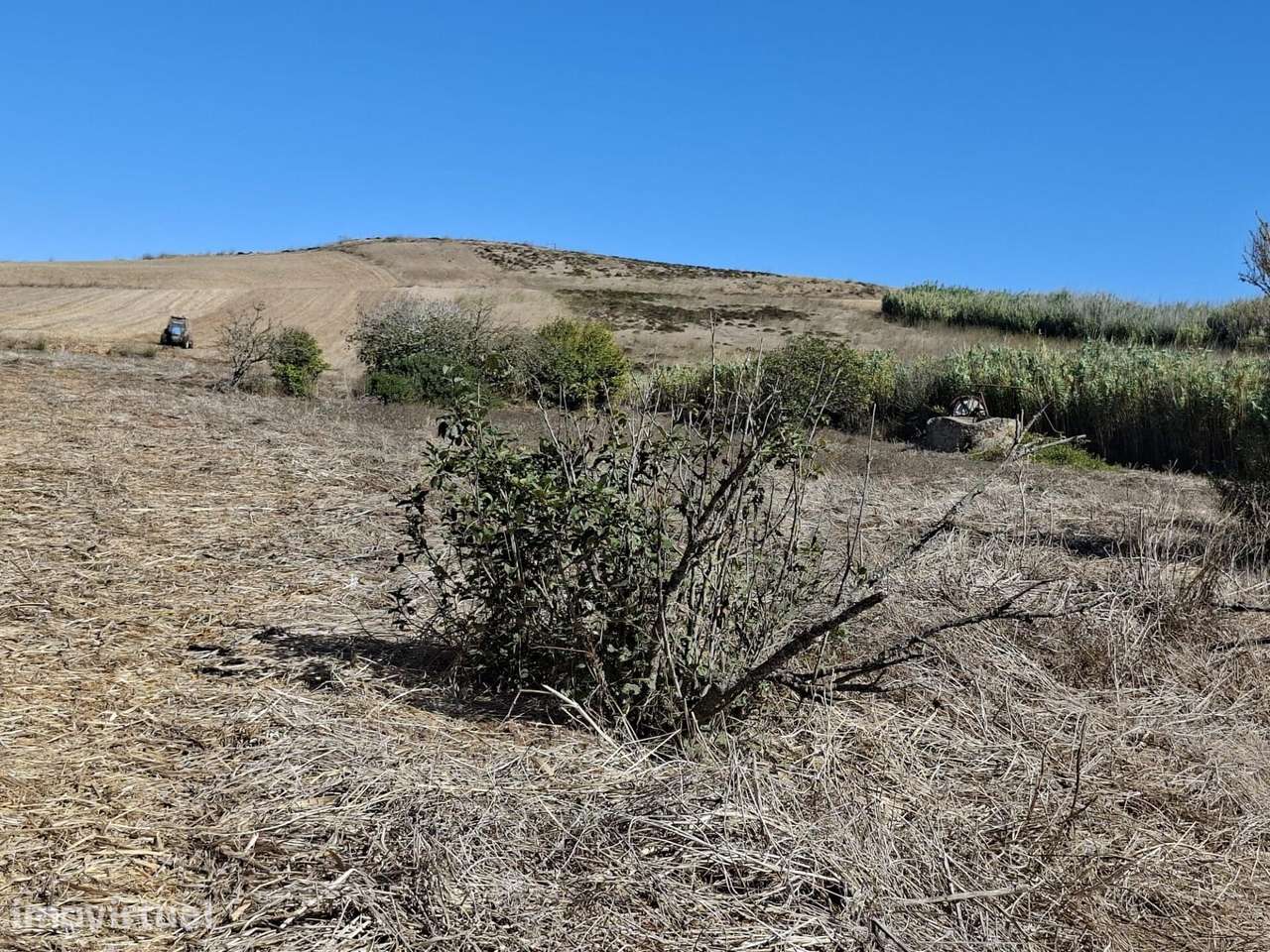 Terrenos Rústicos com 10.760 m2, Raposeira – Vila do Bispo - Grande imagem: 3/30