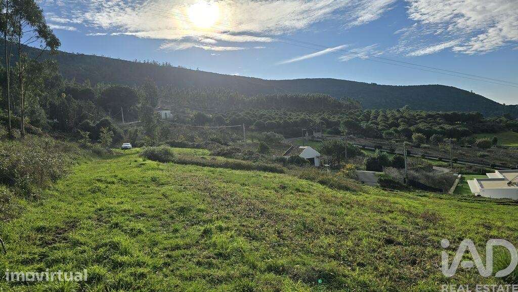 Terreno para construção em Lamas e Cercal - Grande imagem: 3/14
