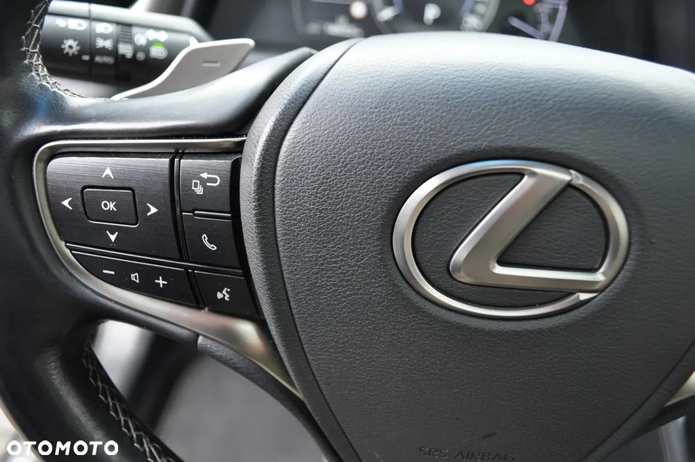 Lexus ES 300h Business Edition + - 29