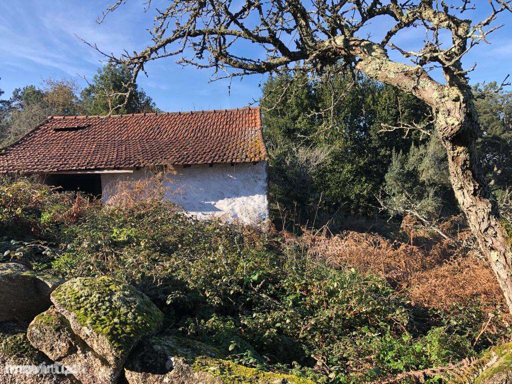 Terreno com ruína - Grande imagem: 2/10