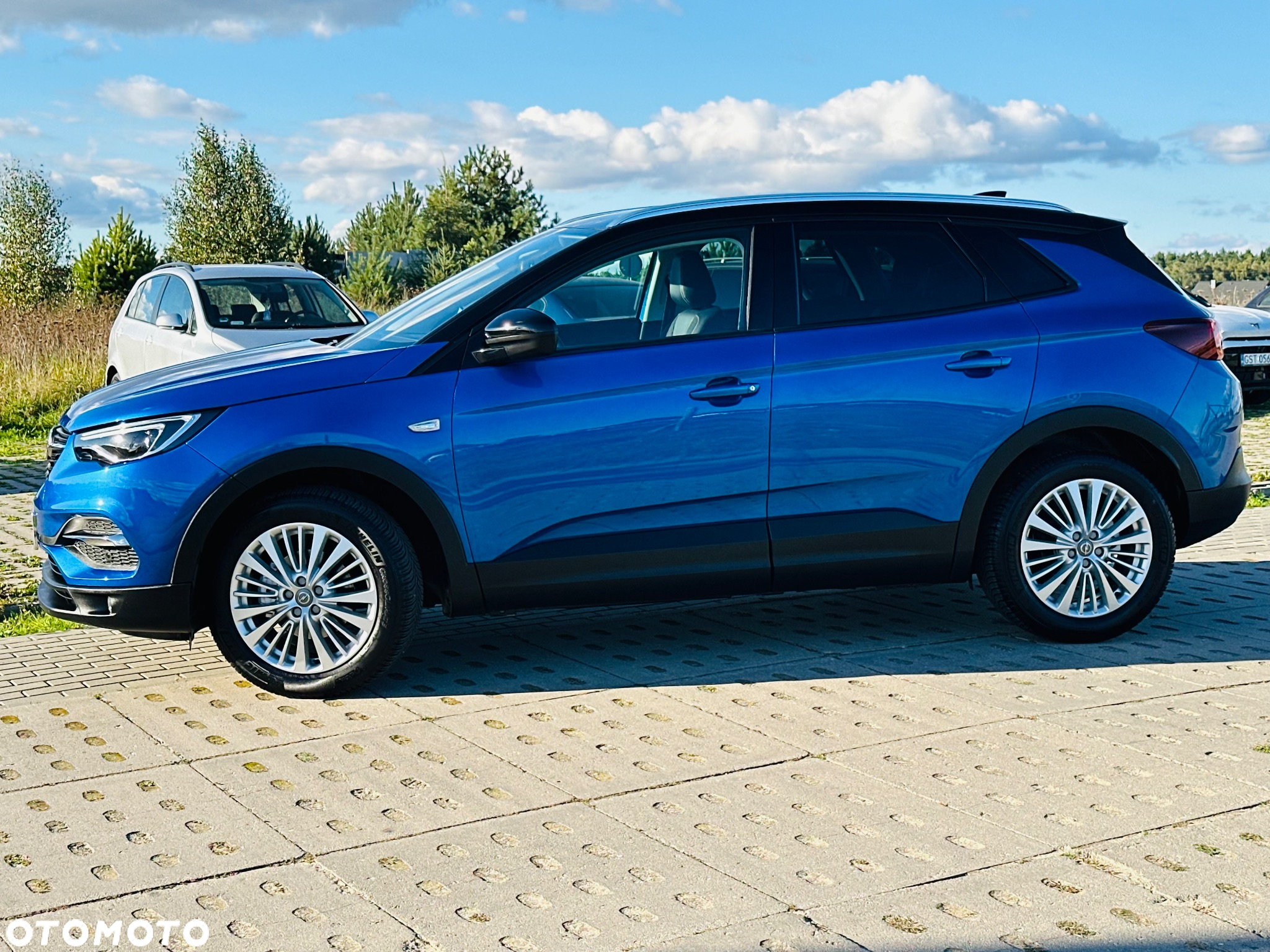 Opel Grandland X 1.5 D Start/Stop Automatik Business Edition - 11