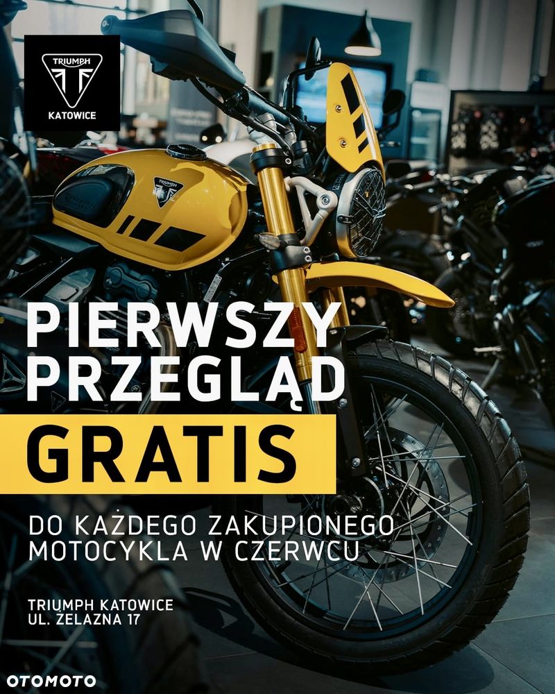 Triumph Tiger - 3