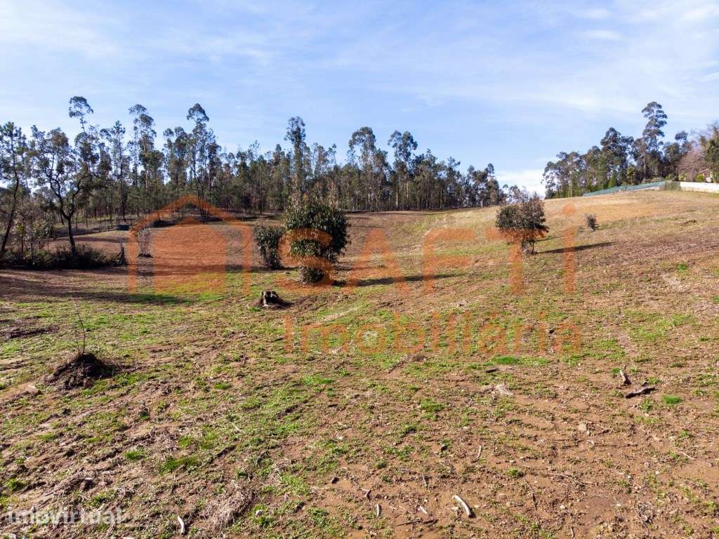 Terreno com 21 000 m2, em Sandiaes - Ponte de Lima - Grande imagem: 4/8