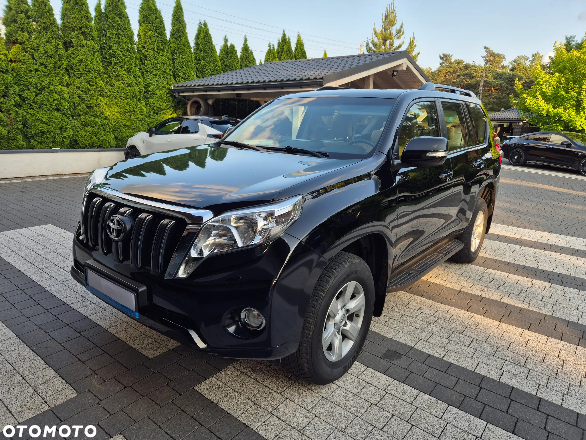 Toyota Land Cruiser - 7