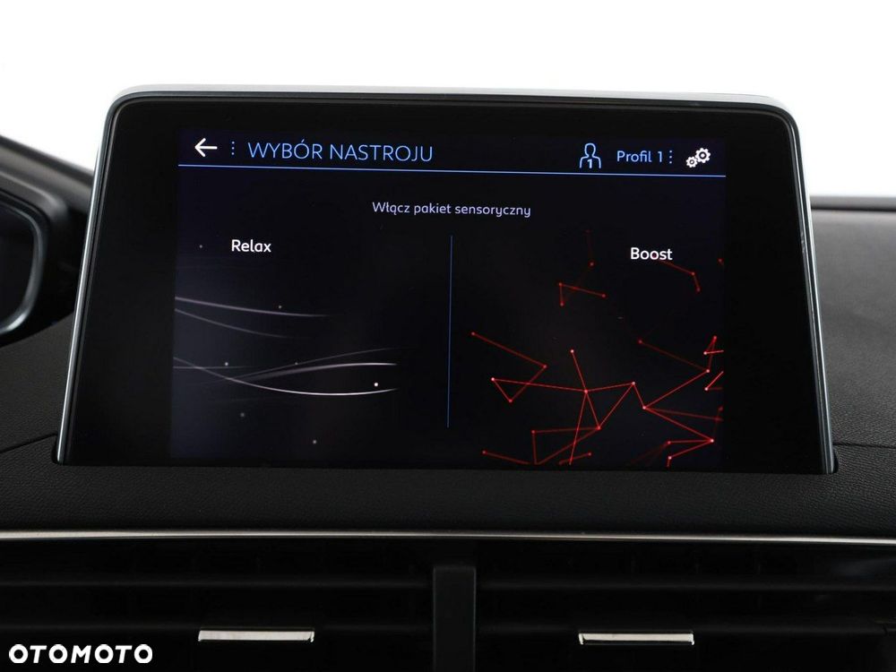 Peugeot 3008 1.5 BlueHDi GT S&S - 24