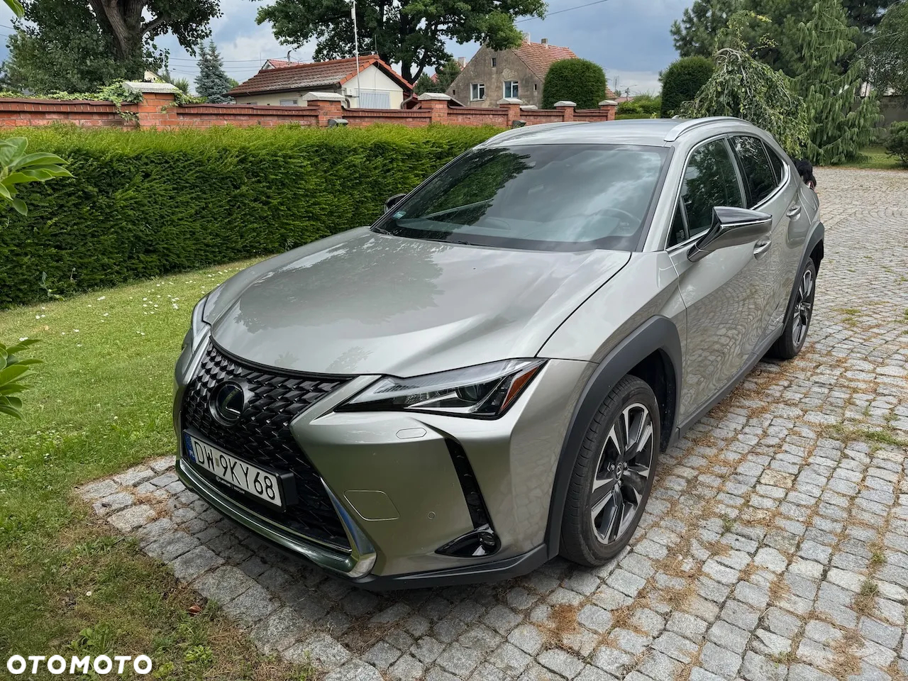 Lexus UX 250h GPF Business Edition 2WD - 2