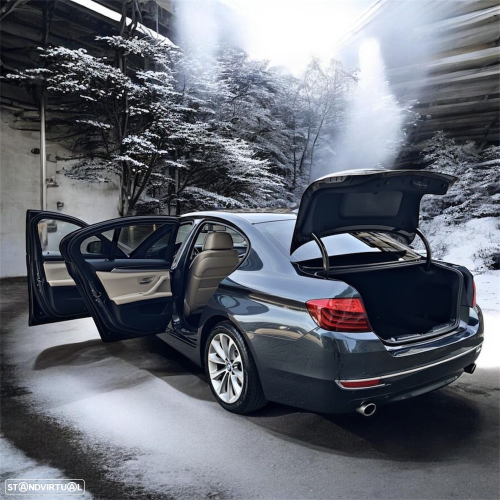 BMW 535 d Line Luxury Auto - 5