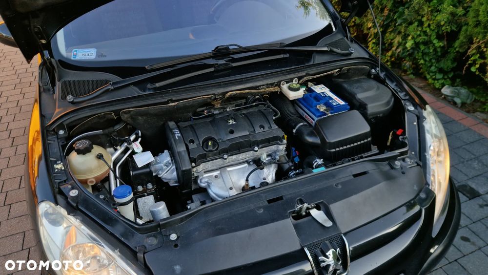 Peugeot 307 - 10