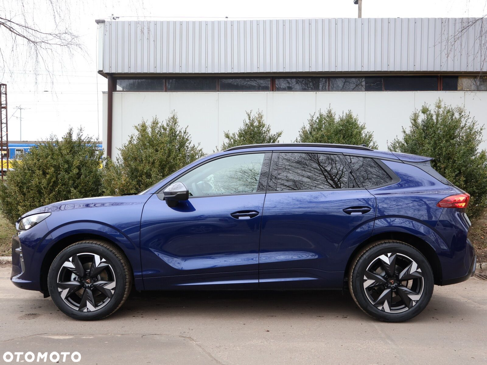 Cupra Terramar 1.5 eTSI mHEV DSG - 6
