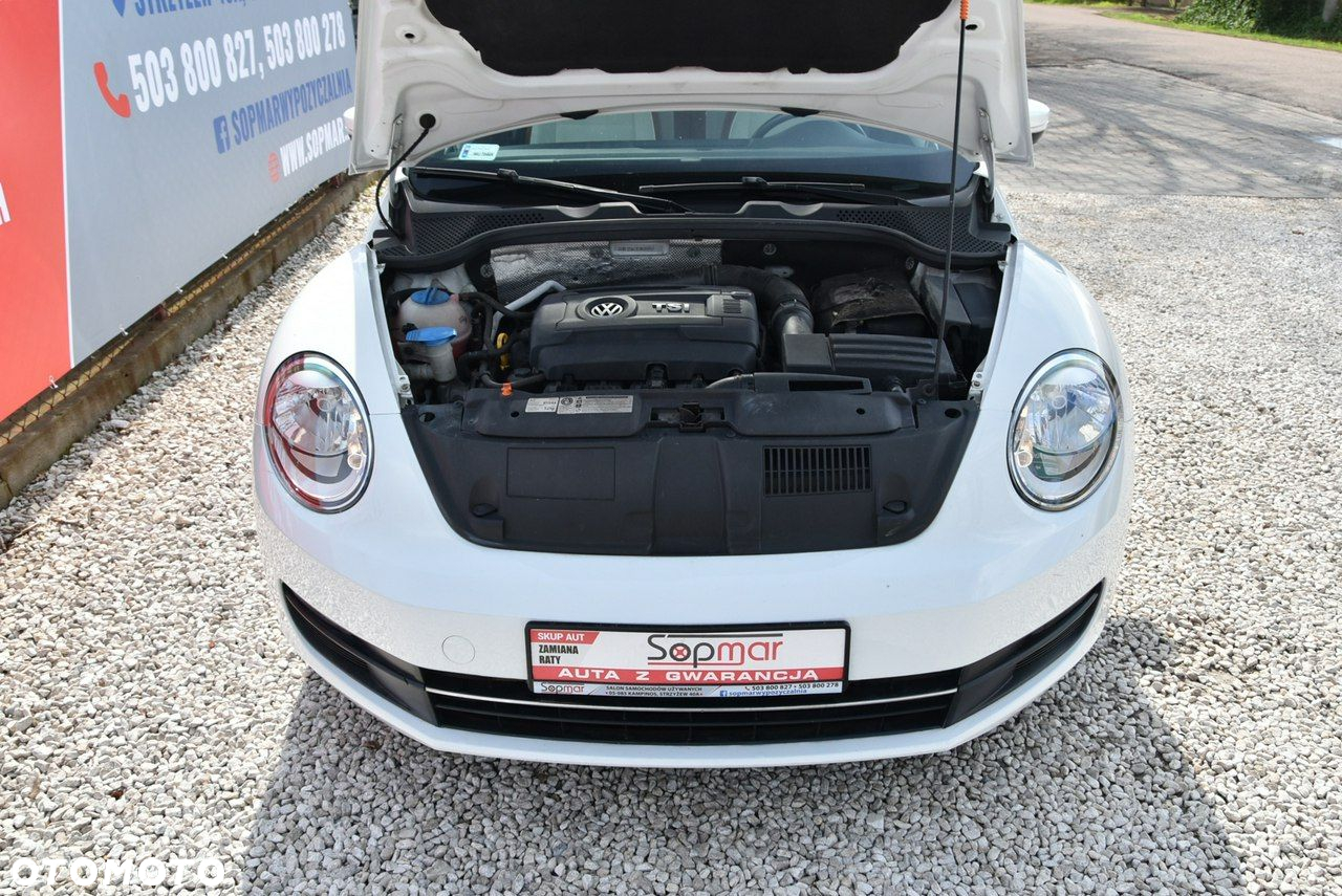 Volkswagen New Beetle - 24