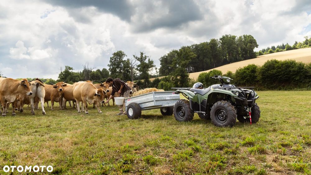Yamaha Kodiak - 11