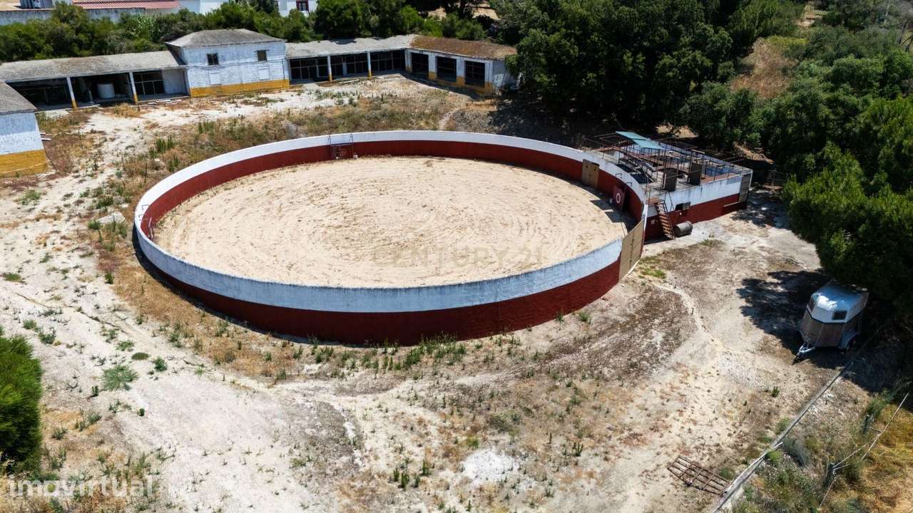 Quinta Equestre a 45 minutos de Lisboa - Grande imagem: 5/29