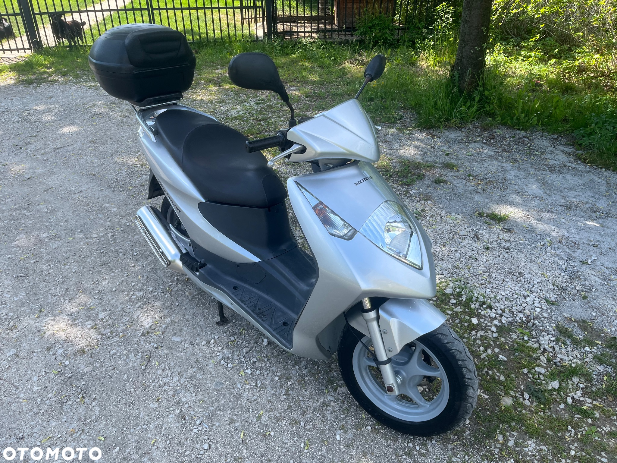 Honda Dylan - 5