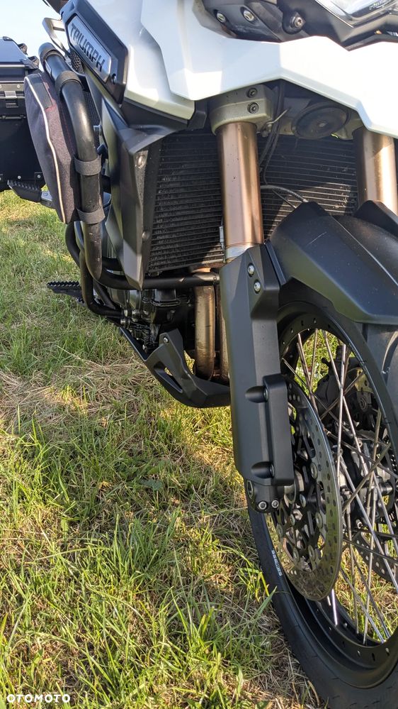 Triumph Tiger - 17