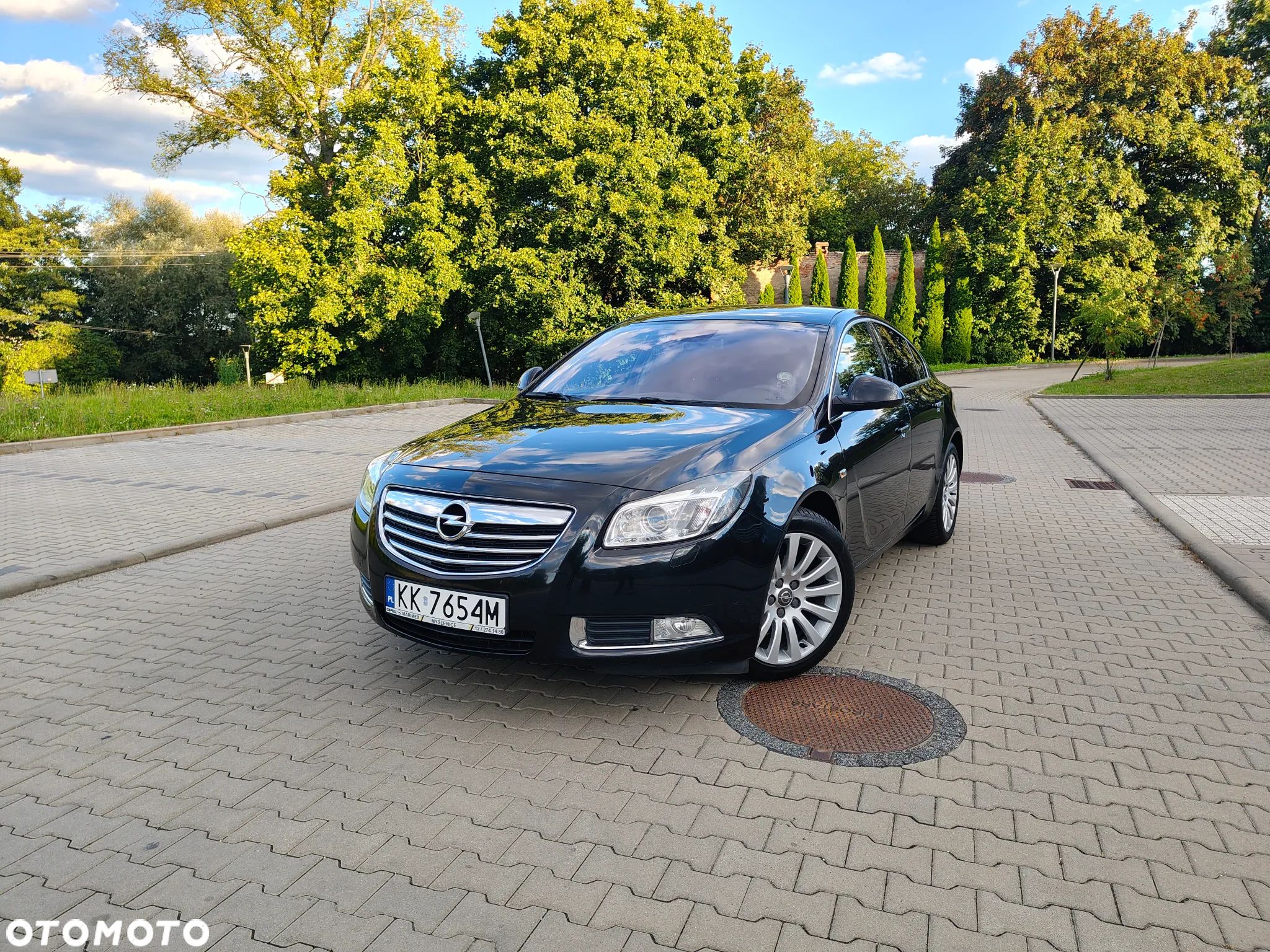 Opel Insignia 2.0 CDTI Cosmo - 1