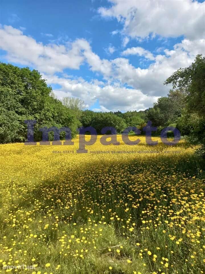 Terreno, Aveiro, Arouca - Grande imagem: 4/4