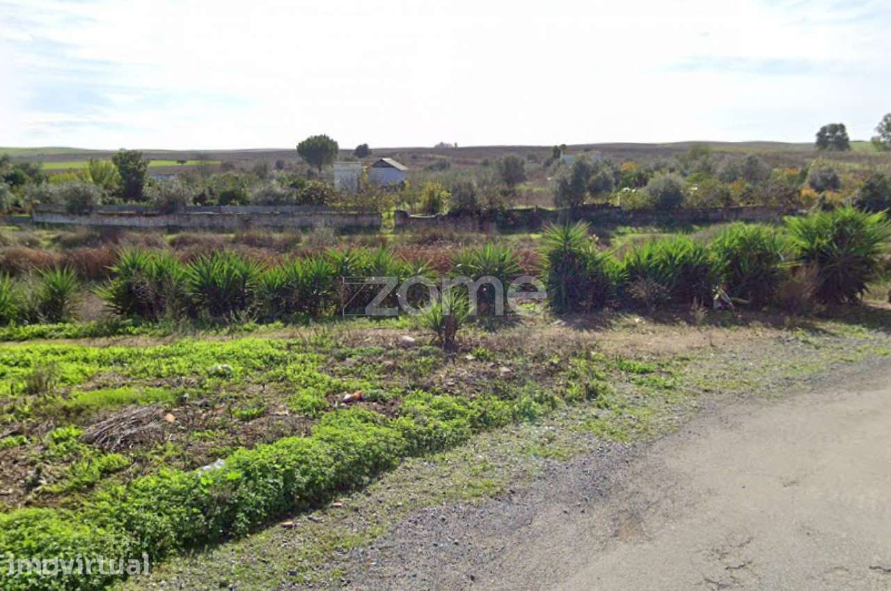 Terreno rustico com pomar - Grande imagem: 5/12