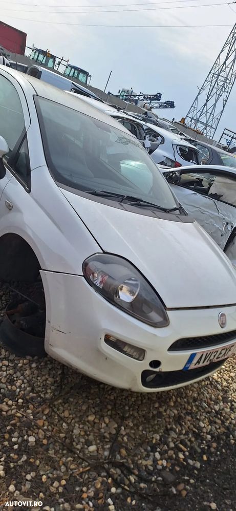 ARIPA FATA FIAT PUNTO CUPE 2015-2016 - 3