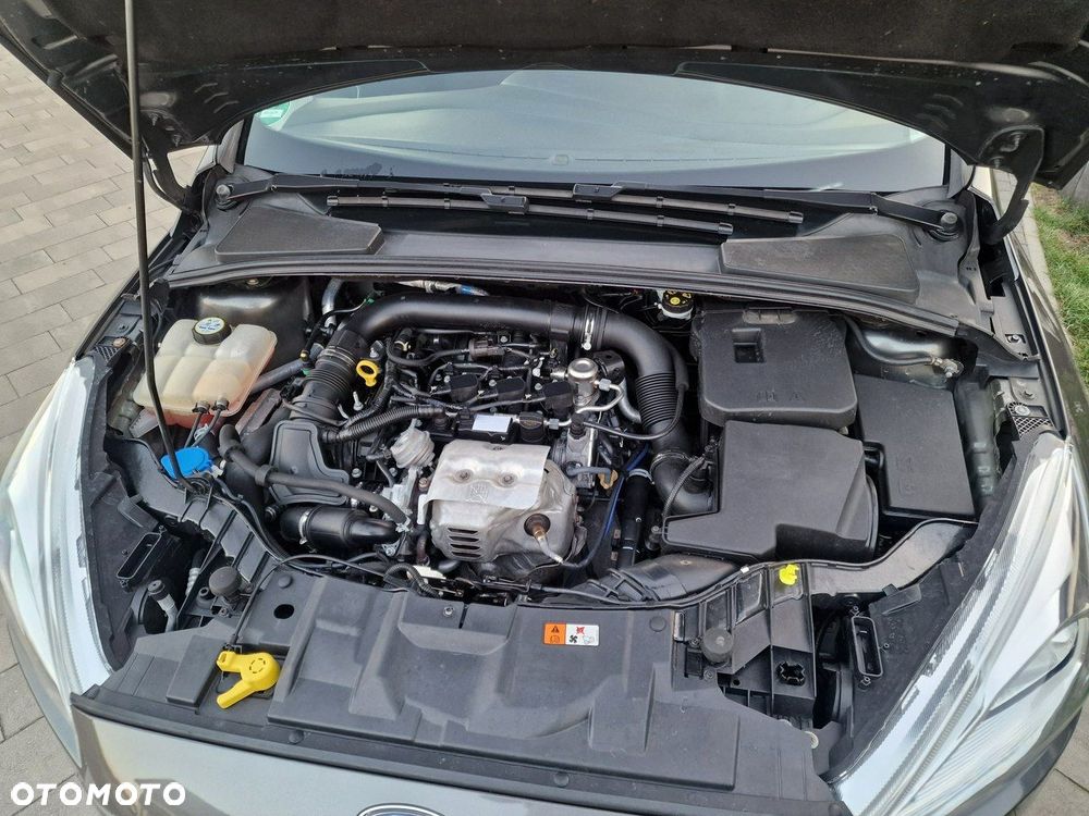 Ford Focus - 24